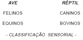Classificação Sensorial