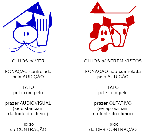 Resumo das linguagens