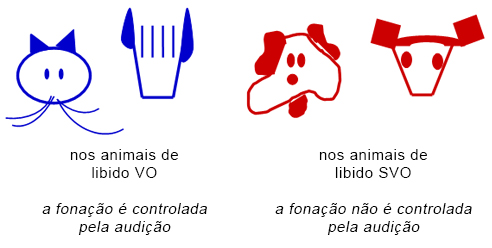 Conduta sonora Conduta sonora