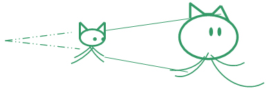 Linguagem não verbal