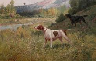 Tocaia e perseguição