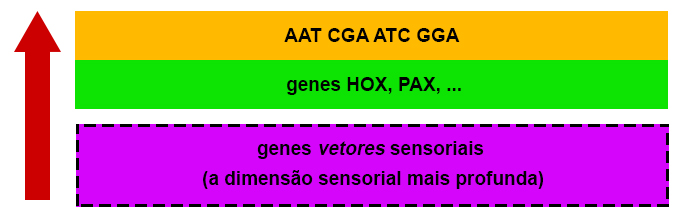 Genes vetores sensoriais - Zoosemiótica Genes vetores sensoriais - Zoosemiótica