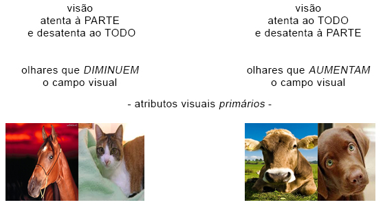 Atributos Visuais Primários