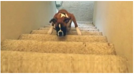 Coordenação motora