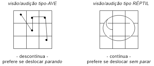 Visão/Audição
